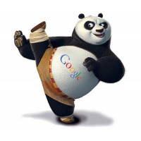 Local Gets a Boost From Google Panda Update